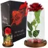 Eeuwige roos in glas, rood geschenk, LED-licht