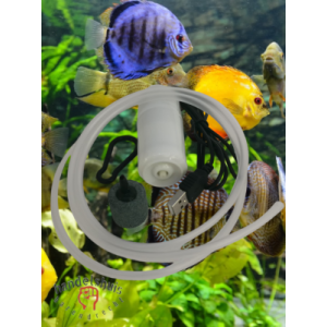 Luchtpomp USB voor aquarium kleine zuurstofpomp met Z5D6-slang zwart Luchtpomp USB voor aquarium kleine zuurstofpomp met Z5D6-slang zwart
