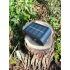 Solar LED wandlamp outdoor waterdicht 4 leds