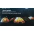 LED Solar Lamp  Outdoor