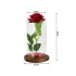 Eeuwige roos in glas, rood geschenk, LED-licht