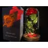 Eeuwige roos in glas, rood geschenk, LED-licht
