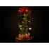 Eeuwige roos in glas, rood geschenk, LED-licht