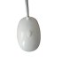 Mini Leeslampje Draadloos op Batterijen - Bureaulamp LED - Wit Licht - Handig leeslampje voor kinderen - Hobby Lamp - Reis lampje