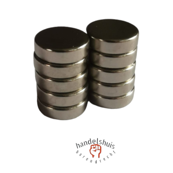 Super Sterke Neodymium Ronde Schijf Magneten 10 x