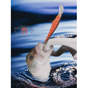Fish Grip lip clip
